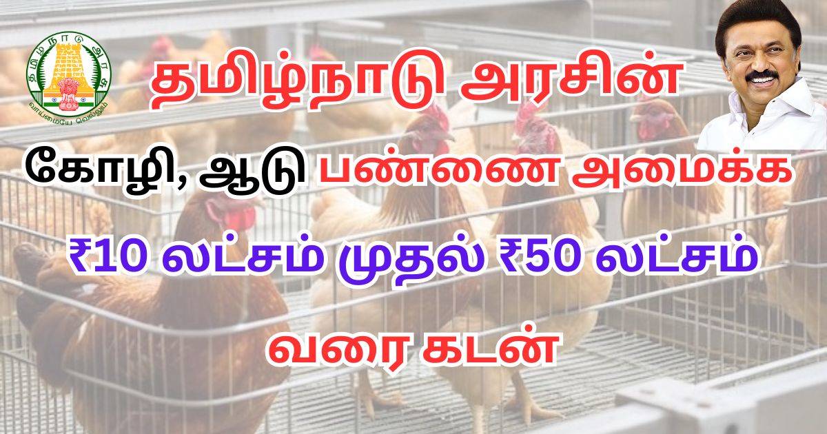 கோழி-ஆடு-form